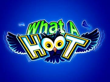 What A Hoot